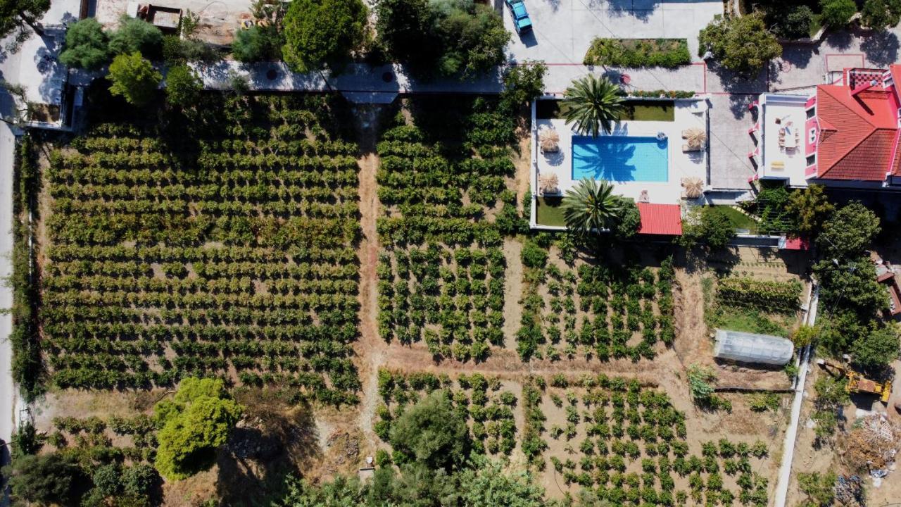 Zissis Villa & Pool 5Min Drive To Beach Kato Yerakarion Exterior photo